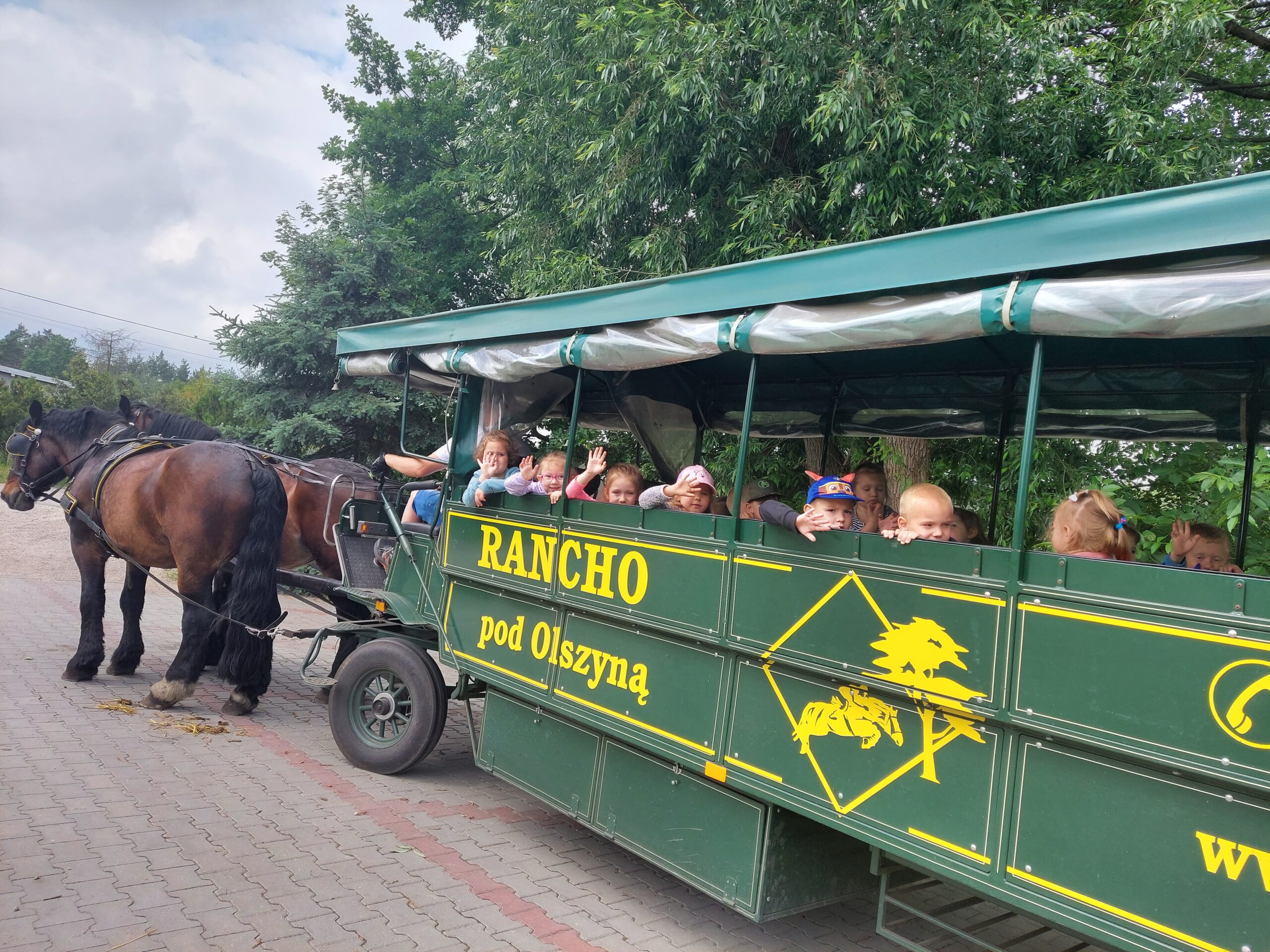 Stokrotki na wycieczce Ranczo pod Olszyną